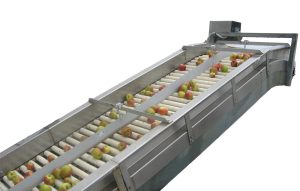 Chain Conveyors